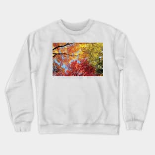 Low Angle View Of Autumn Trees Crewneck Sweatshirt